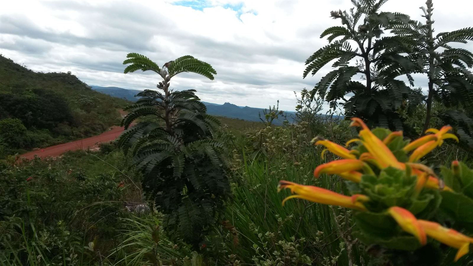 Turismo en America Latina - Chapada Diamantina - Ibicoara